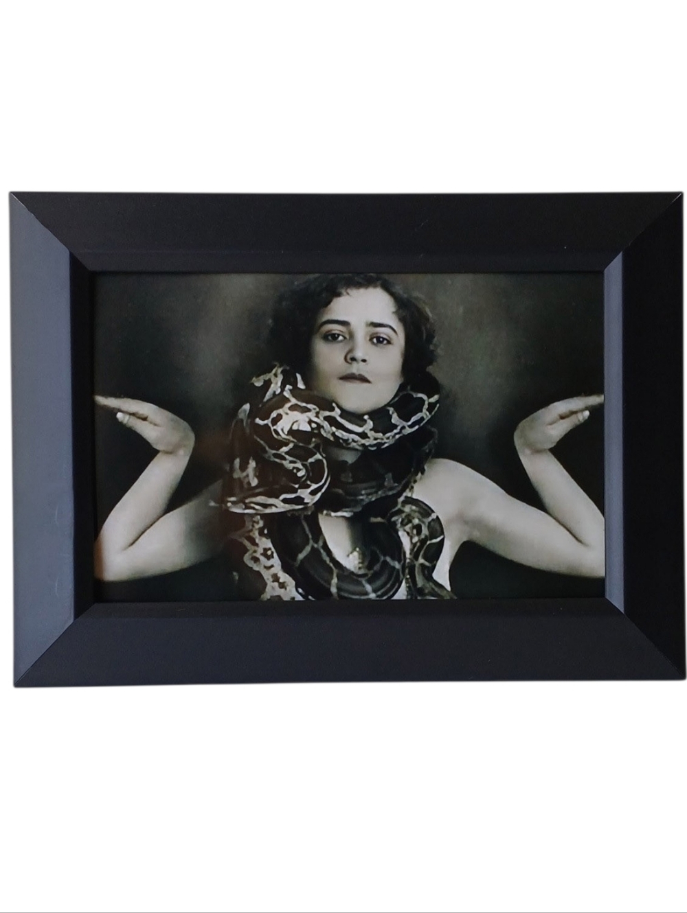 Vintage  Sideshow Circus Freak Show Woman's snake charmer Sideshow Retro Framed